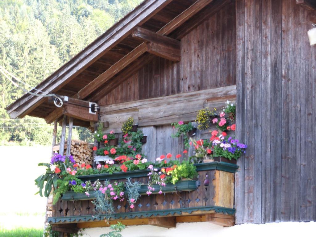 Landgasthof Ledererwirt Guest House Ebbs Exterior photo